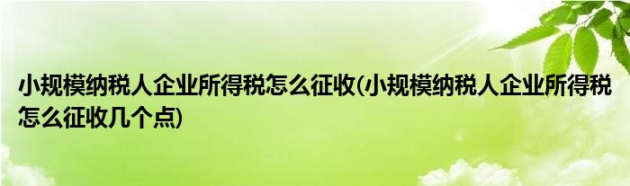 小規(guī)模納稅人企業(yè)所得稅怎么征收(小規(guī)模納稅人企業(yè)所得稅怎么征收幾個點)