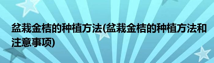 盆栽金桔的種植方法(盆栽金桔的種植方法和注意事項)