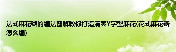 法式麻花辮的編法圖解教你打造清爽Y字型麻花(花式麻花辮怎么編)