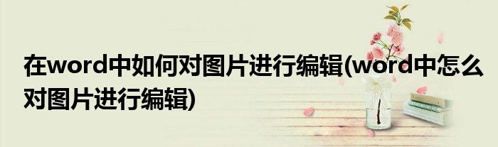 在word中如何對圖片進行編輯(word中怎么對圖片進行編輯)