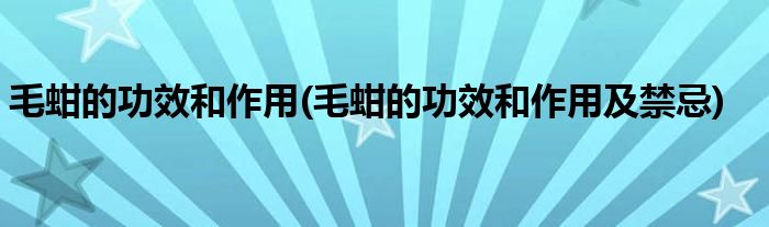 毛蚶的功效和作用(毛蚶的功效和作用及禁忌)
