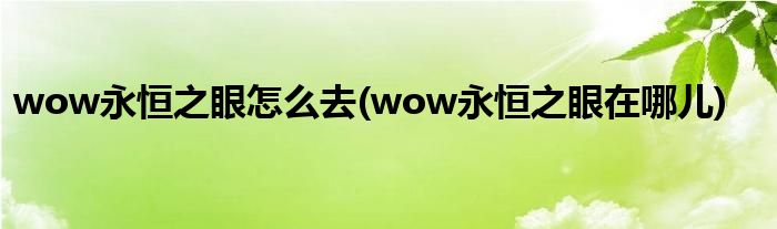wow永恒之眼怎么去(wow永恒之眼在哪兒)