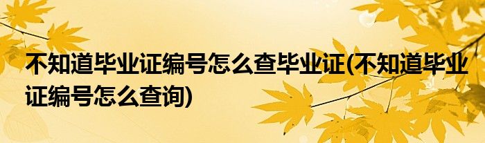 不知道畢業(yè)證編號怎么查畢業(yè)證(不知道畢業(yè)證編號怎么查詢)