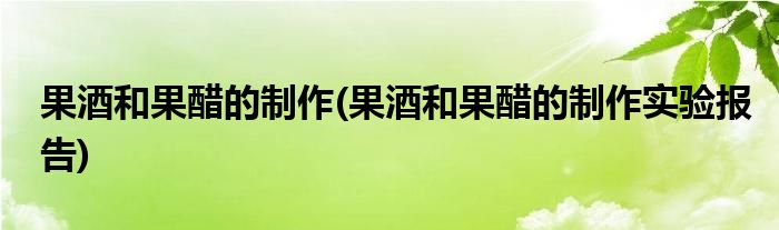 果酒和果醋的制作(果酒和果醋的制作實驗報告)