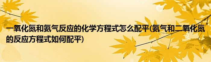 一氧化氮和氨氣反應(yīng)的化學(xué)方程式怎么配平(氨氣和二氧化氮的反應(yīng)方程式如何配平)