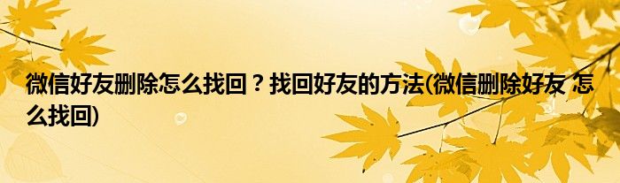微信好友刪除怎么找回？找回好友的方法(微信刪除好友 怎么找回)