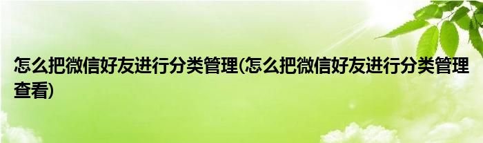 怎么把微信好友進行分類管理(怎么把微信好友進行分類管理查看)