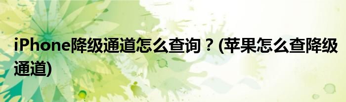 iPhone降級通道怎么查詢？(蘋果怎么查降級通道)