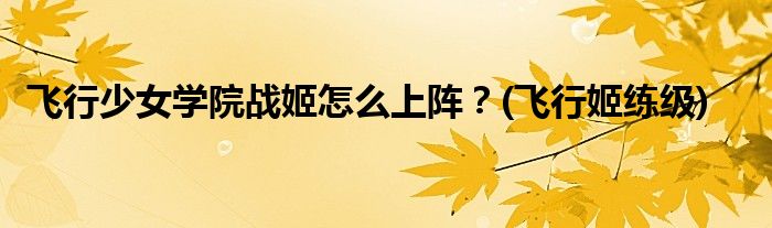 飛行少女學(xué)院戰(zhàn)姬怎么上陣？(飛行姬練級)