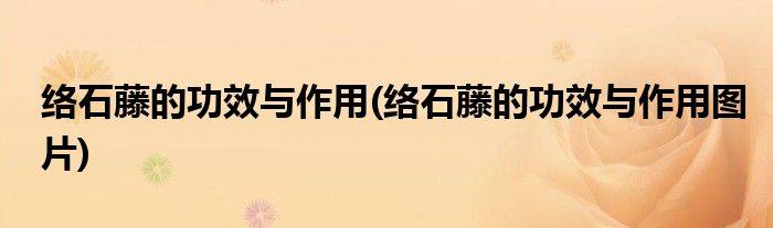 絡(luò)石藤的功效與作用(絡(luò)石藤的功效與作用圖片)