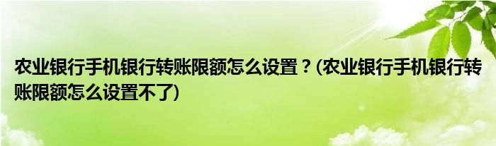 農(nóng)業(yè)銀行手機(jī)銀行轉(zhuǎn)賬限額怎么設(shè)置？(農(nóng)業(yè)銀行手機(jī)銀行轉(zhuǎn)賬限額怎么設(shè)置不了)