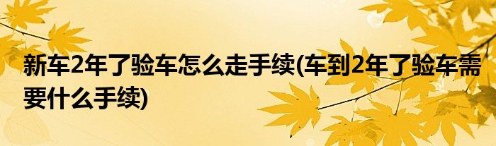 新車2年了驗(yàn)車怎么走手續(xù)(車到2年了驗(yàn)車需要什么手續(xù))