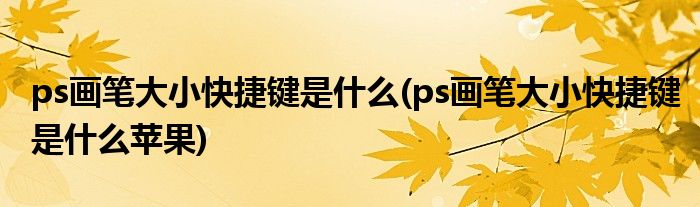 ps畫筆大小快捷鍵是什么(ps畫筆大小快捷鍵是什么蘋果)
