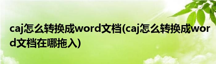 caj怎么轉換成word文檔(caj怎么轉換成word文檔在哪拖入)