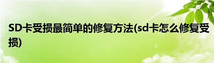 SD卡受損最簡單的修復(fù)方法(sd卡怎么修復(fù)受損)