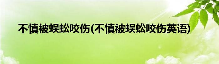 不慎被蜈蚣咬傷(不慎被蜈蚣咬傷英語(yǔ))