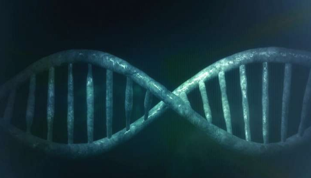 遺傳病血色素沉著癥與老年人患病率較高有關(guān)