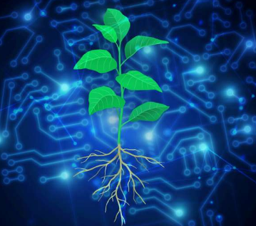 人工智能幫助科學(xué)家設(shè)計植物來應(yīng)對氣候變化