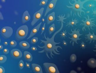 生物信息學的突破：人工智能預測細胞類型轉(zhuǎn)變