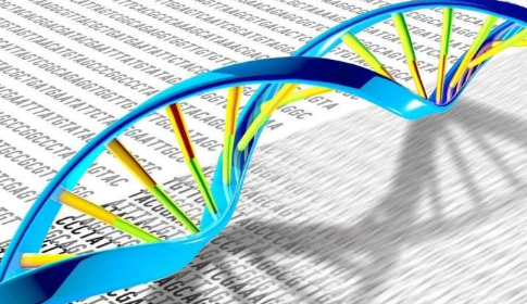 人類基因組中的古代病毒 DNA 與重大精神疾病有關(guān)