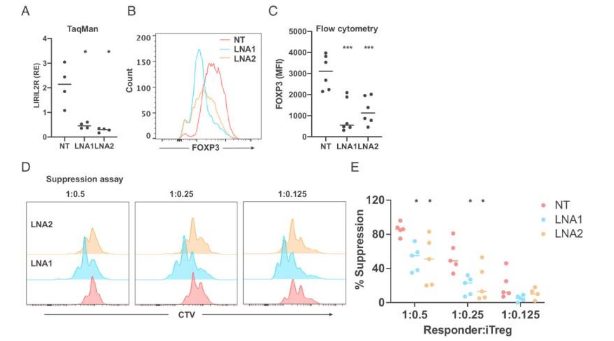 科學(xué)家發(fā)現(xiàn)人類調(diào)節(jié)性T細胞的新型調(diào)節(jié)劑
