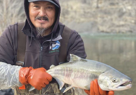 北極變暖導(dǎo)致鮭魚分布范圍擴(kuò)大