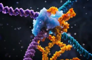 科學家揭示生物編程的全新機制