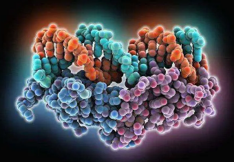 新研究發(fā)現兩種可能導致中風復發(fā)的蛋白質