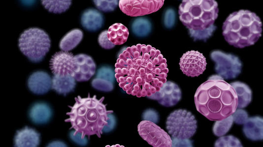 生物學(xué)家揭示了以前無法識(shí)別的免疫細(xì)胞行為
