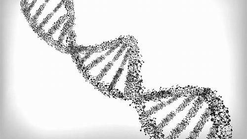 科學家們解開了DNA復制的方式和時間的謎團