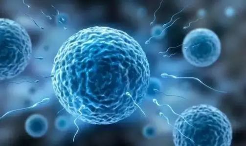 合成生物學(xué)家促使分裂細(xì)菌分化成干細(xì)胞