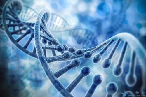 對nomura水母的新基因組學方法揭示了主動捕食的早期進化