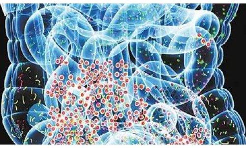 延長抗生素治療可能會改變早產(chǎn)兒的微生物組
