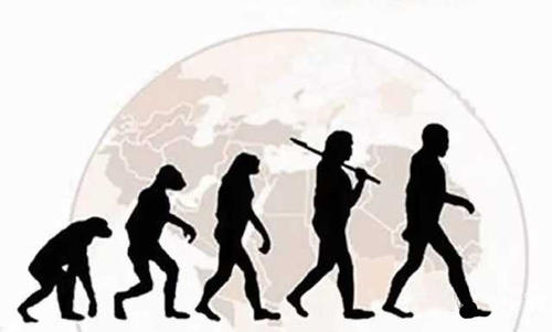 文化和生物進(jìn)化影響人類的感受