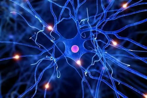 遺傳學研究人員發(fā)現(xiàn)新的神經發(fā)育綜合征