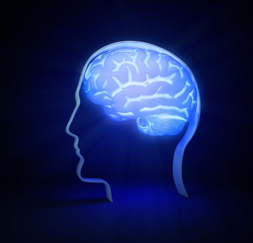 與自閉癥中的大腦解剖學相關的基因已被鑒定