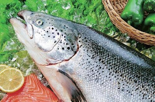 吃魚能保護(hù)我們的大腦免受空氣污染嗎