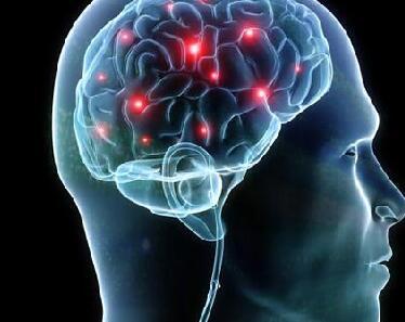 科學(xué)家解讀大腦如何感知氣味
