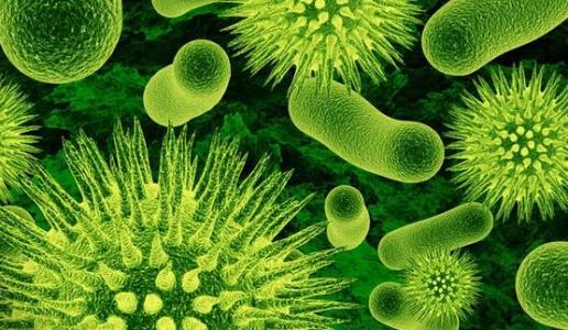 發(fā)現(xiàn)殺死抗生素的超級(jí)細(xì)菌的新化合物