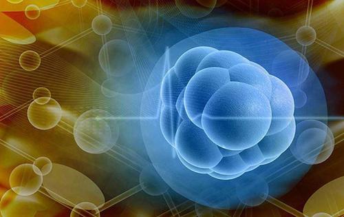 科學(xué)家開發(fā)出第三只眼來檢查干細(xì)胞