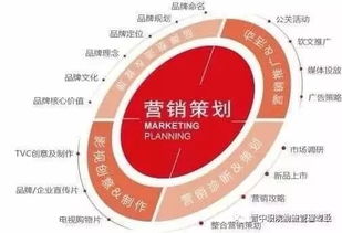 營銷策劃核心 從基礎(chǔ)概念到實(shí)踐策略